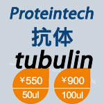 泽浩Proteintech内参tubulin家族α,β,γ亚型优质单克隆抗体特价优惠