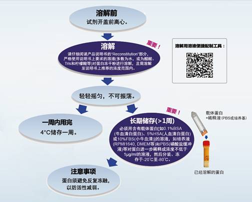 PeproTech重组蛋白溶解,储存方法