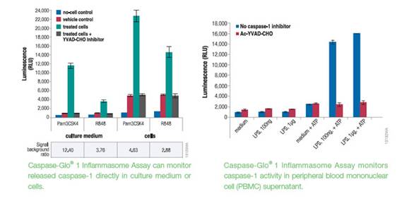 泽浩代理Promega炎性检测Caspase-1活性