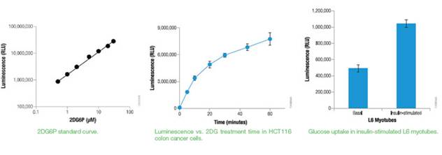 Promega非放射性检测葡萄糖摄取试剂盒