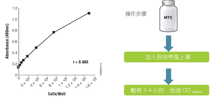 CellTiter 96细胞活力检测金标准