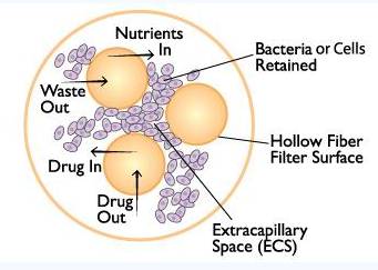 中空纤维替代传统培养耗材